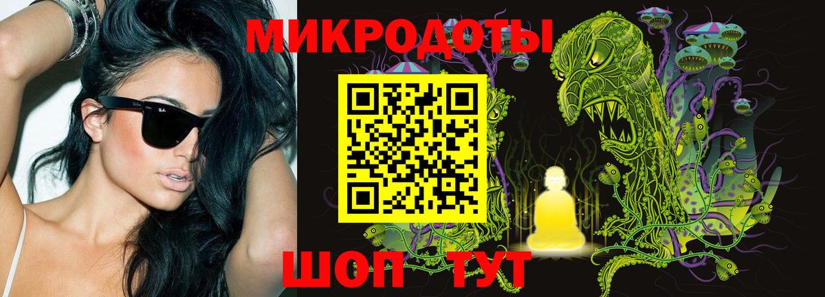 Галлюциногенные грибы Psilocybe Электрогорск
