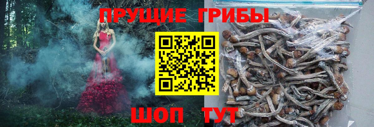 Галлюциногенные грибы MAGIC MUSHROOMS  Псилоцибиновые грибы MAGIC MUSHROOMS  Электрогорск  Вход с VPN 
